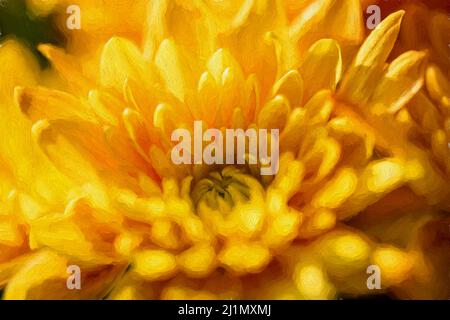 Pittura digitale di fiori di Aster gialli e arancioni in fiore con una profondità di campo poco profonda. Foto Stock