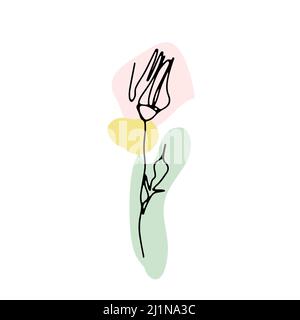 Una linea di disegno rosa. Fiore a linea singola disegnato a mano con forme astratte neutre Illustrazione Vettoriale