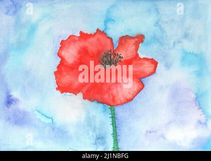 Fiore di papavero rosso dipinto a mano. Pittura artistica. Foto Stock