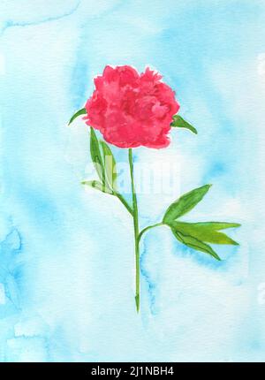 Fiore di peonia dipinto a mano. Pittura artistica. Foto Stock
