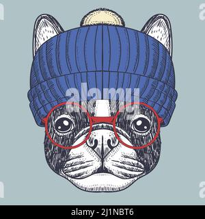 Bulldog francese che indossa un bicchiere rosso e una beania Illustrazione Vettoriale