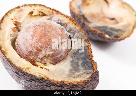 Avocado immangiabile con muffa su sfondo bianco. Cibo malsano Foto Stock