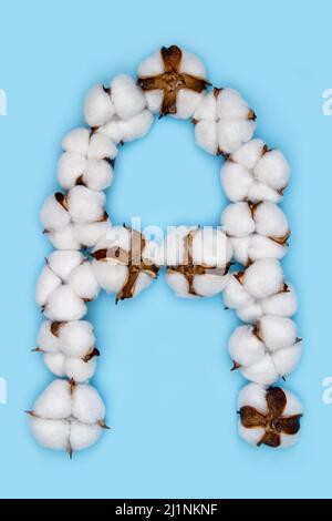 Lettera A fatta di fiori di cotone e isolata su fondo blu pieno. Concetto di alfabeto floreale. Una lettera del set di caratteri di cotone facile da impilare. Foto Stock