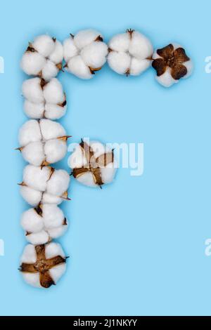 Lettera F fatta di fiori di cotone e isolata su fondo blu pieno. Concetto di alfabeto floreale. Una lettera del set di caratteri di cotone facile da impilare. Foto Stock