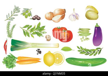 verdure fresche isolate su sfondo bianco. illustrazione Illustrazione Vettoriale
