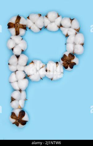 Lettera P fatta di fiori di cotone e isolata su fondo blu pieno. Concetto di alfabeto floreale. Una lettera del set di caratteri di cotone facile da impilare. Foto Stock