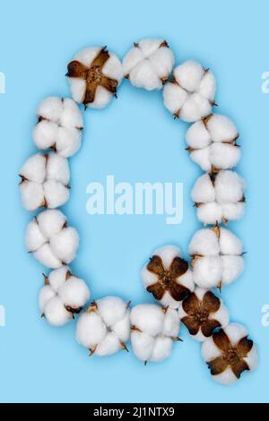 Lettera Q fatta di fiori di cotone e isolata su fondo blu pieno. Concetto di alfabeto floreale. Una lettera del set di caratteri di cotone facile da impilare. Foto Stock