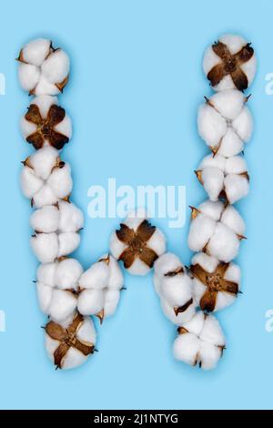 Lettera W fatta di fiori di cotone e isolata su fondo blu pieno. Concetto di alfabeto floreale. Una lettera del set di caratteri di cotone facile da impilare. Foto Stock