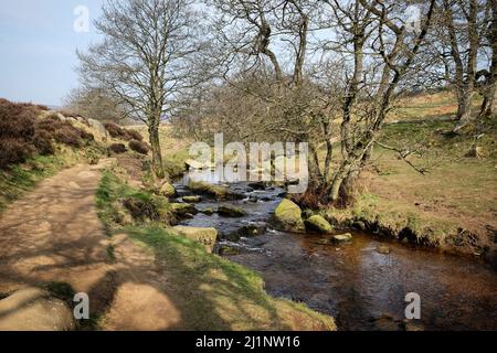 Upper Padley Gorge nel Peak District, Derbyshire, Regno Unito Foto Stock