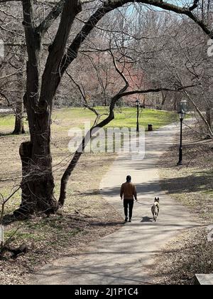 L'uomo cammina il suo cane durante i primi giorni di primavera a Prospect Park, Brooklyn, New York. Foto Stock