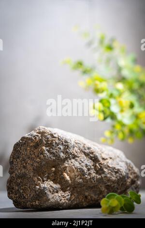 Podio per la regolazione del prodotto, piedistallo, pietra da palco, piattaforma in pietra grigia, blocchi ruvidi posizionamento oggetti con ombre di foglie verdi Foto Stock