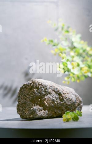 Podio per la regolazione del prodotto, piedistallo, pietra da palco, piattaforma in pietra grigia, blocchi ruvidi posizionamento oggetti con ombre di foglie verdi Foto Stock