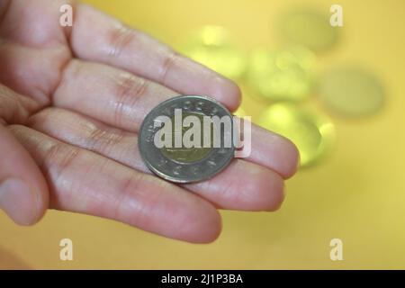 La moneta canadese sulla mano della donna, la moneta nella mano delle donne Foto Stock