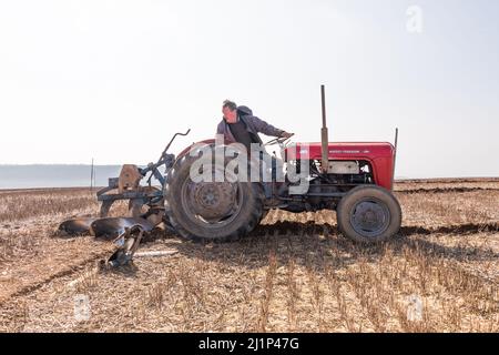 Killbrittain, Cork, Irlanda. 27th marzo 2022. Michael Walsh fra Gaggin sul suo trattore Massey Ferguson 35 del 1958, ha partecipato alla partita della Kilbrittain Plowing Association che si è svolta nelle terre della famiglia Draper, Artitgue, Kilbrittain Co. Cork, Irlanda. - Foto David Creedon Foto Stock