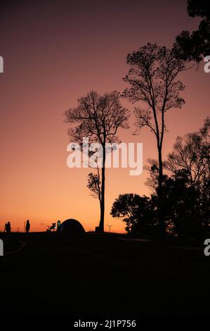 Silhouette albero e tenda sulla cima della montagna in serata sul punto di vista Foto Stock
