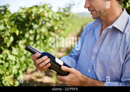 Questa sarà una grande annata. Shot di un bell'uomo maturo che assaggia il vino all'esterno in un vigneto. Foto Stock