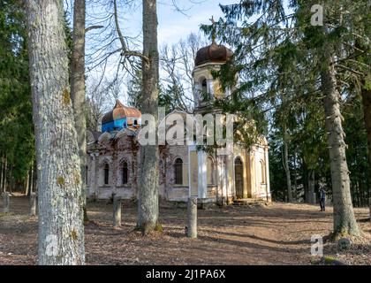 Galgauskas San Giovanni Battista Chiesa ortodossa tra alberi e arbusti sottobosco. Sopra le cime degli alberi si può vedere il campanile, Gulbene re Foto Stock