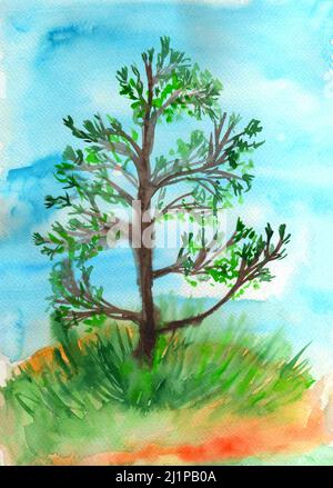 Illustrazione di acquerello dipinta a mano dell'albero del pino. Foto Stock