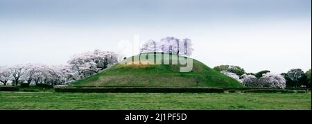 Colpo grandangolare del tumulo di sepoltura di Maruhakayama-Kofun, che è uno dei più grandi tumuli del parco che circonda il Sakitama Ancient Burial Mounds M. Foto Stock