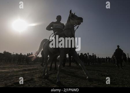 Wadi al Salqa, territori palestinesi. 27th Mar 2022. Un beduino palestinese guida un cavallo mentre partecipa a una corsa tradizionale per celebrare Land Day. Land Day segna un incidente avvenuto nel 1976, quando le truppe israeliane hanno sparato e ucciso sei persone durante le proteste contro le confische terrestri. Credit: Mohammed Talatene/dpa/Alamy Live News Foto Stock