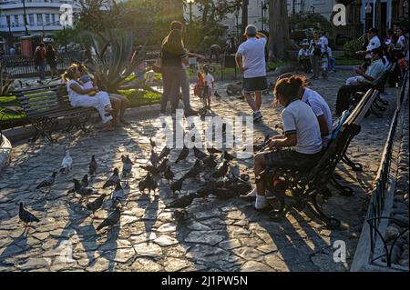 Persone che nutrono piccioni nel Parco Seminario al tramonto, noto anche come Parco Iguana, Guayaquil Ecuador Foto Stock