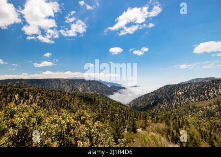 Splendido mare di nubi nei pressi di Big Bear Lake, Los Angeles County, California Foto Stock