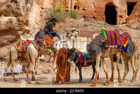 Bedouin su cammello che offre i loro servizi per trasportare i turisti a Petra Jordan 20 febbraio 2020 Foto Stock