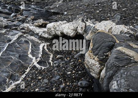 Spiaggia di Crackington Haven che mostra la formazione geologica di pietre fangose e arenarie con vene di calcite e quarz.Cornwall.UK Foto Stock