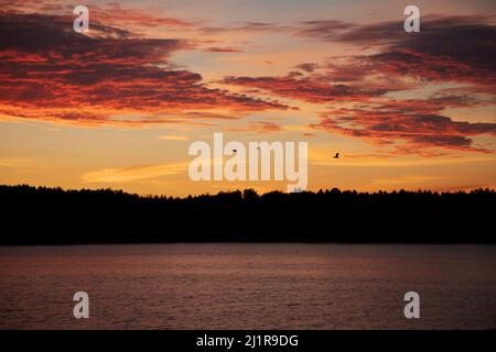 Bailey Island Sunrise, estate a Bailey Island nel Maine è fresco e bello. Alba sull'acqua, costa rocciosa e aragosta abbondano. Foto Stock