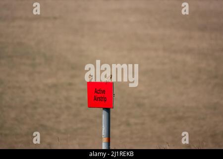 Uno skylark (Alauda arvensis) atterra su un segno di metallo fuori dai confini Foto Stock