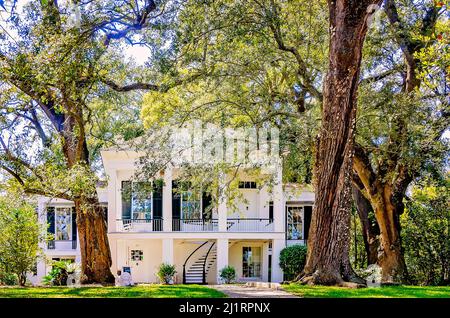 La storica Oakleigh Mansion è illustrata, 26 marzo 2022, a Mobile, Alabama. Oakleigh Mansion è stato costruito nel 1833. Foto Stock