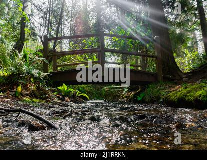 Travi di sole che brillano giù sopra il ponte vicino al torrente acqua. Foto Stock