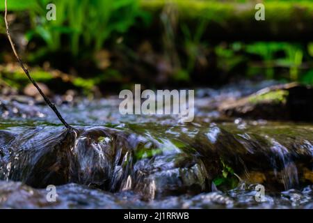 Bel flusso che scorre verso il basso con il log che sovrasta appena a monte. Foto Stock