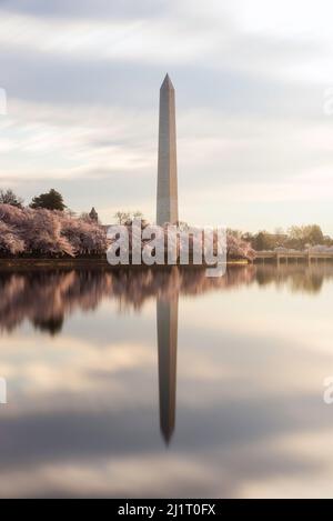 Un'esposizione di 60 secondi del bacino di Tidal a Washington DC spiana l'acqua e il riflesso del Washington Monument e del Cherry Blo primaverile Foto Stock