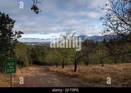 Skyline Trail presso il parco naturale Skyline in autunno, con una vista della Napa Valley a distanza in una giornata di cielo blu poco nuvoloso con centro termale Foto Stock