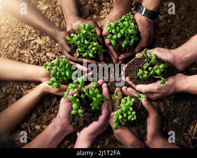 Il cambiamento deve iniziare da qualche parte. Scatto ritagliato di un gruppo di persone che tengono piante che crescono dal suolo. Foto Stock