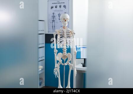 Studio medico vuoto dotato di scheletro umano anatomico medico pronto per la  consultazione osteopatica. Posto di lavoro in ospedale con nessuno in esso,  avendo modello di struttura del corpo. Concetto di medicina