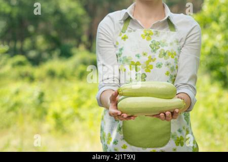 Una donna con uno zucchino nelle mani, in una fattoria o in un orto. Il concetto di raccolta, o la vendita di verdure Foto Stock