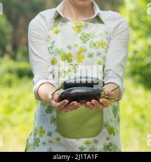 Una donna con una melanzana nelle sue mani, in una fattoria, o un orto. Il concetto di raccolta, o la vendita di verdure. Foto Stock