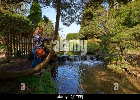 Cascata in un giardino ornamentale Foto Stock