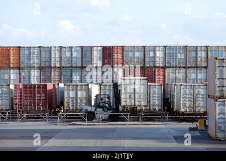 Logistica industriale trasporto carrello elevatore trasporto container container carico impilatore al porto per la spedizione di merci di esportazione e di importazione a p Foto Stock