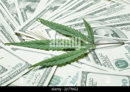 Un foglio di marijuana per soldi, dollari e cannabis, un commercio legale e del mercato nero Foto Stock