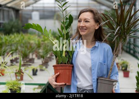 donna acquista fiori in un negozio di giardino. Una giovane donna sceglie piante ornamentali in un mercato di fiori serra, tenendo due dracaena e zamiokulkas Foto Stock