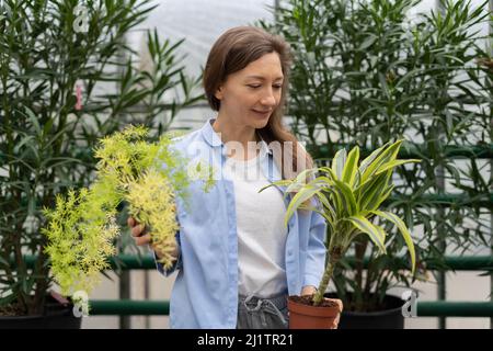 Il concetto di houseplants all'ingrosso. Attraente giovane donna caucasica in possesso di asparagi e dracaena sceglie tra due piante in vaso in un giardino Foto Stock