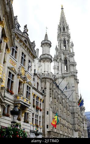 Municipio di Bruxelles presso la Grand Place. Foto Stock