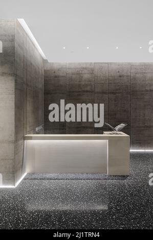 Una rappresentazione verticale 3D di un interno moderno con un banco ricevimento contro pareti marrone illuminate Foto Stock