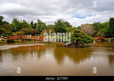 Toowoomba, Queensland, Australia - Giardini Giapponesi in un tempo nuvoloso Foto Stock