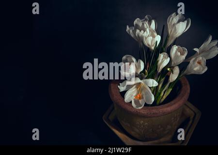 Diversi croci bianchi in una pentola di ceramica su sfondo scuro Foto Stock