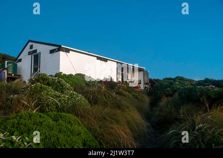 Jumbo Hut, circuito Holdsworth-Jumbo, Tararua Ranges, Isola del Nord, Nuova Zelanda Foto Stock