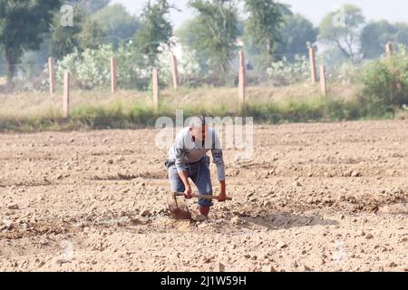 Pali Rajasthan, India. Novembre 04 ,2021.Un giovane adulto agricoltore indiano che irriga il campo con una pala Foto Stock